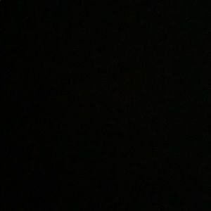 Meet your Posher, Benjamin